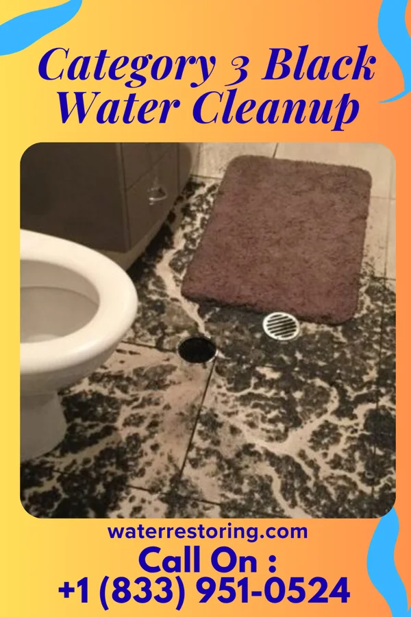 Category 3 Black Water Cleanup in Lake Lorraine, FL