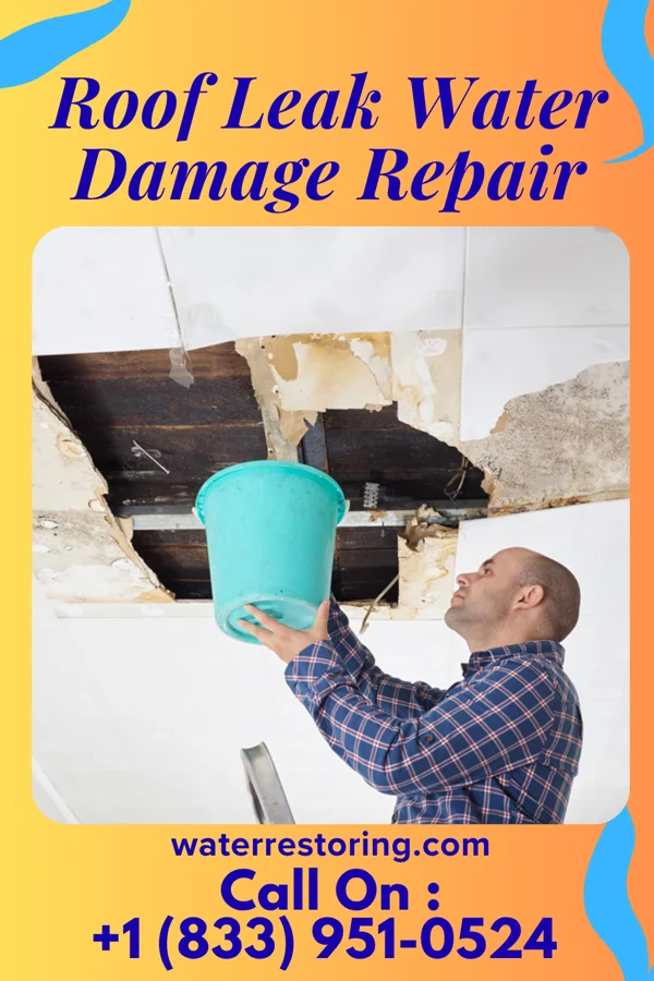 Roof Leak Water Damage Repair in Lake Lorraine, FL